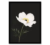 Artery8 Single White Poppy Anemone Flower Black Floral Framed Wall Art | Size: W12" x H16" Artery8 Black W12" x H16"