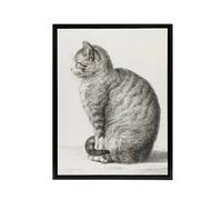 Artery8 Sitting Smiling Cat Pencil Drawing Bernard Black Framed Canvas Art in White | Size: W24" x H32" Artery8 White W24" x H32"