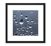 Artery8 Sjostrom Dew On Spider Web Macro Photo 8X8 Inch Square Wooden Framed Wall Art Print Picture with Mount in Black Artery8 Black