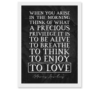 Artery8 Slate Inspiring Quote Marcus Aurelius Morning Precious Privilege To Be Alive Breathe Think Enjoy Love Inspiring Artwork Framed Wall Art Print A4