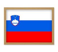 Artery8 Slovenia National Flag Patriotic Vexillology World Flags Country Region Poster Artwork Framed Wall Art Print A4