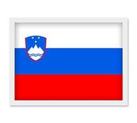 Artery8 Slovenia National Flag Patriotic Vexillology World Flags Country Region Poster Artwork Framed Wall Art Print A4