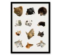 Artery8 Small And Large Animals Vintage Artwork Lydekker Framed Wall Art Print A3