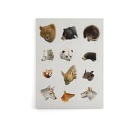 Artery8 Small & Large Animals Vintage Artwork Lydekker Canvas Wall Art in White | Size: W24" x H32" Artery8 White W24" x H32"