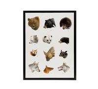 Artery8 Small & Large Animals Vintage Artwork Lydekker Framed Canvas Art in White | Size: W24" x H32" Artery8 White W24" x H32"