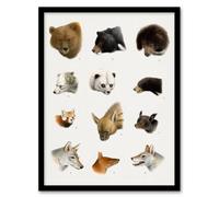 Artery8 Small & Large Animals Vintage Artwork Lydekker Framed Wall Art Print in White | Size: A4 Artery8 White A4