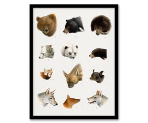 Artery8 Small & Large Animals Vintage Artwork Lydekker Framed Wall Art Print in White | Size: A4 Artery8 White A4