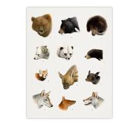 Artery8 Small & Large Animals Vintage Artwork Lydekker Wall Art Poster Print in White | Size: W18" x H24" Artery8 White W18" x H24"