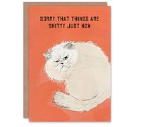 Artery8 Sorry Things Are Sh*tty Grumpy Fluffy Cat Lover Blank For Him Or Her Art Get Well Card