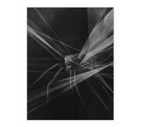 Artery8 Spider Black White Abstract Cubist Web Threads Living Room Extra Large XL Wall Art Poster Print