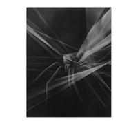 Artery8 Spider Black White Abstract Cubist Web Threads Wall Art Print | Size: W12" x H16" Artery8 Black W12" x H16"