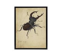 Artery8 Stag Beetle Nature Study Albrecht Durer Framed Canvas Wall Art Print in Beige | Size: W12" x H16" Artery8 Beige W12" x H16"