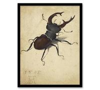 Artery8 Stag Beetle Nature Study Albrecht Durer Framed Wall Art Print in Beige | Size: A4 Artery8 Beige A4