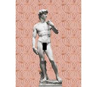 Artery8 Statue of David by Michelangelo Classic with Abstract Art Pink Lotus Gold Large Wall Art Poster Print Thick Paper 18X24 Inch