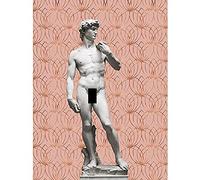 Artery8 Statue of David by Michelangelo Classic with Abstract Art Pink Lotus Gold Unframed Wall Art Print Poster Home Decor Premium