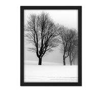 Artery8 Stemberovi Trees Winter Mist Black White Photo Artwork Framed Wall Art Print 18X24 Inch