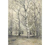 Artery8 Stengelin Forest With Birch Trees Painting Art Print Canvas Premium Wall Decor Poster Mural
