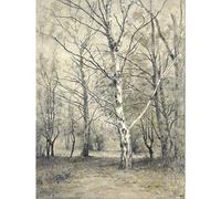 Artery8 Stengelin Forest With Birch Trees Painting Large Wall Art Poster Print Thick Paper 18X24 Inch