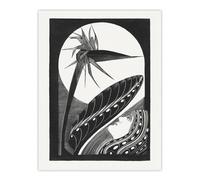 Artery8 Strelitzia Overblown & Full Moon De Mesquita Wall Art Poster Print in White | Size: W12" x H16" Artery8 White W12" x H16"