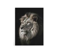 Artery8 Strong Majestic Lion Head Photo Canvas Wall Art Print in Black | Size: W18" x H24" Artery8 Black W18" x H24"