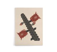 Artery8 Stylised Blooming Cactus De Mesquita Canvas Wall Art Print in Beige | Size: W18" x H24" Artery8 Beige W18" x H24"