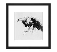 Artery8 Sully Eagle Sketchbook Drawing 8X8 Inch Square Wooden Framed Wall Art Print Picture with Mount in Black Artery8 Black