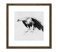 Artery8 Sully Eagle Sketchbook Drawing 8X8 Inch Square Wooden Framed Wall Art Print Picture with Mount in Brown Artery8 Brown