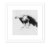 Artery8 Sully Eagle Sketchbook Drawing 8X8 Inch Square Wooden Framed Wall Art Print Picture with Mount in White Artery8 White