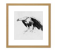 Artery8 Sully Eagle Sketchbook Drawing 8X8 Inch Square Wooden Framed Wall Art Print Picture with Mount in Light Oak Artery8 Light Oak