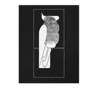 Artery8 Sulphur Crested Cockatoo Parrot De Mesquita Wall Art Poster Print in Black | Size: W12" x H16" Artery8 Black W12" x H16"