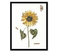 Artery8 Sunflower Caterpillar And Two Butterflies Teyler Framed Wall Art Print A3