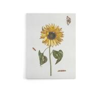 Artery8 Sunflower Caterpillar & Two Butterflies Teyler Canvas Wall Art in White | Size: W12" x H16" Artery8 White W12" x H16"