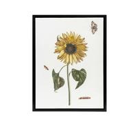 Artery8 Sunflower Caterpillar & Two Butterflies Teyler Framed Canvas Art in White | Size: W18" x H24" Artery8 White W18" x H24"