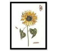 Artery8 Sunflower Caterpillar & Two Butterflies Teyler Framed Wall Art Print in White | Size: A4 Artery8 White A4