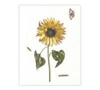 Artery8 Sunflower Caterpillar & Two Butterflies Teyler Wall Art Poster Print in White | Size: W24" x H32" Artery8 White W24" x H32"