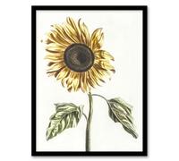 Artery8 Sunflower Vintage Flower Painting Teyler Framed Wall Art Print 12X16"