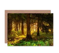 Artery8 Sunrise Sunshine Through Forest Trees Good Luck Card Artery8 Multicolor