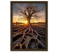 Artery8 Sunset on Ancient Tree Atmospheric Photograph Large Roots Autumn Artwork Framed A3 Wall Art Print