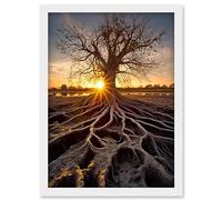 Artery8 Sunset on Ancient Tree Atmospheric Photograph Large Roots Autumn Artwork Framed Wall Art Print A4