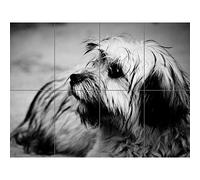 Artery8 Terrier Dog Black And White Photo XL Giant Panel Poster (8 Sections)