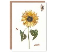 Artery8 Teyler Art Card Sunflower Caterpillar & Two Butterflies in White Artery8 White