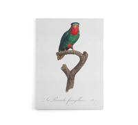 Artery8 The blue Crowned Lorikeet Parrot Levaillant Canvas Wall Art Print in White | Size: W24" x H32" Artery8 White W24" x H32"