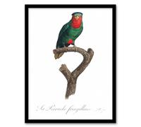 Artery8 The blue Crowned Lorikeet Parrot Levaillant Framed Wall Art Print in White | Size: W12" x H16" Artery8 White W12" x H16"
