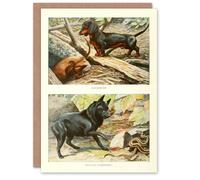 Artery8 The Book of Dogs Art Card Dachshund & Belgian Schipperke Artery8 Multicolor