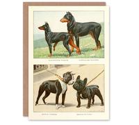 Artery8 The Book of Dogs Art Card Doberman Pinscher & French Bulldog Artery8 Multicolor