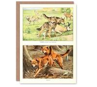 Artery8 The Book of Dogs Art Card Timber Wolf Coyote & Dingo Artery8 Multicolor