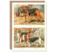 Artery8 The Book of Dogs Personalised Art Card Bloodhound Beagle and Basset Hound