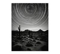 Artery8 The Milky Way Time Lapse Star Trails Stars Tracing Their Journey Across Black White Cactus Unframed Wall Art Print Poster Home Decor Premium Artery8 Multicolor W12" x H16"