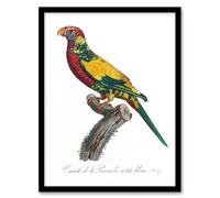 Artery8 The Rainbow Lorikeet Parrot Levaillant Framed Wall Art Print 12X16"