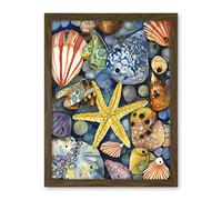 Artery8 The Rock Pool Seaside Clams Starfish Bathroom Artwork Framed Wall Art Print 18X24 Inch